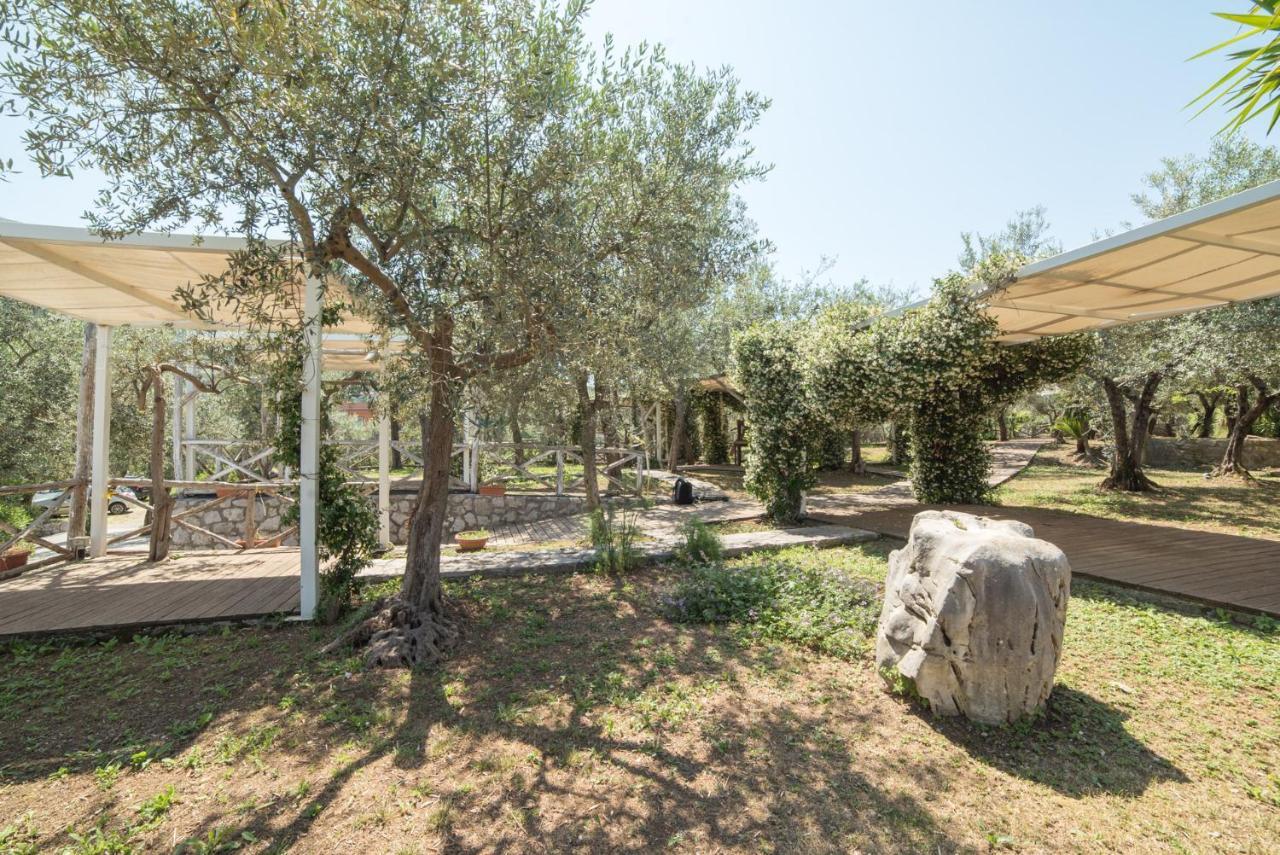 Agroturismo Il Casale Del Golfo *