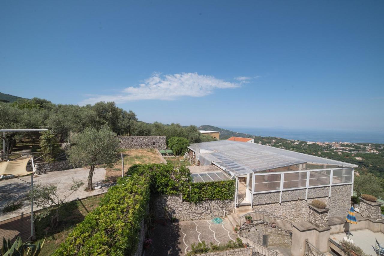 Agroturismo Il Casale Del Golfo Vico Equense